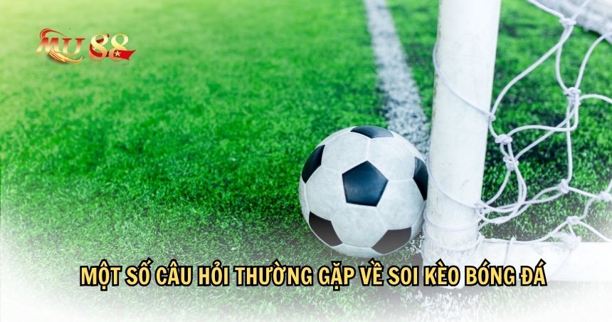 Một số câu hỏi thường gặp về soi kèo bóng đá