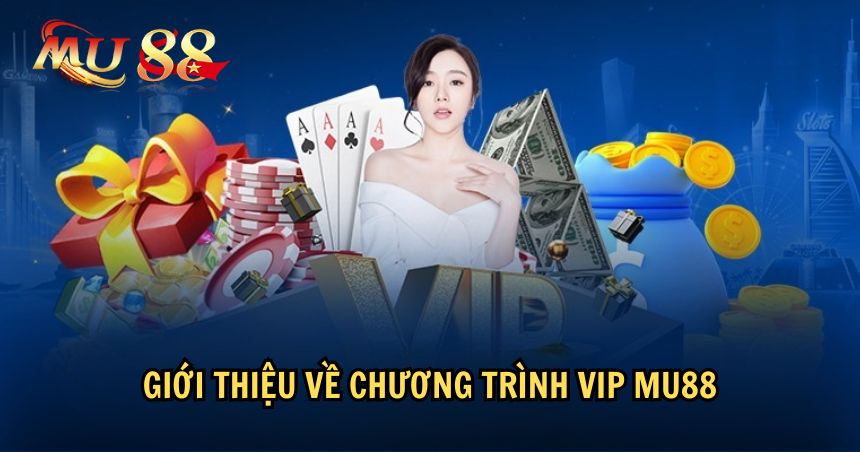 Giới thiệu về chương trình VIP của MU88