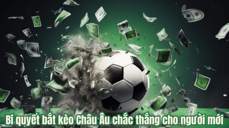 Bí quyết bắt kèo Châu Âu chắc thắng cho người mới